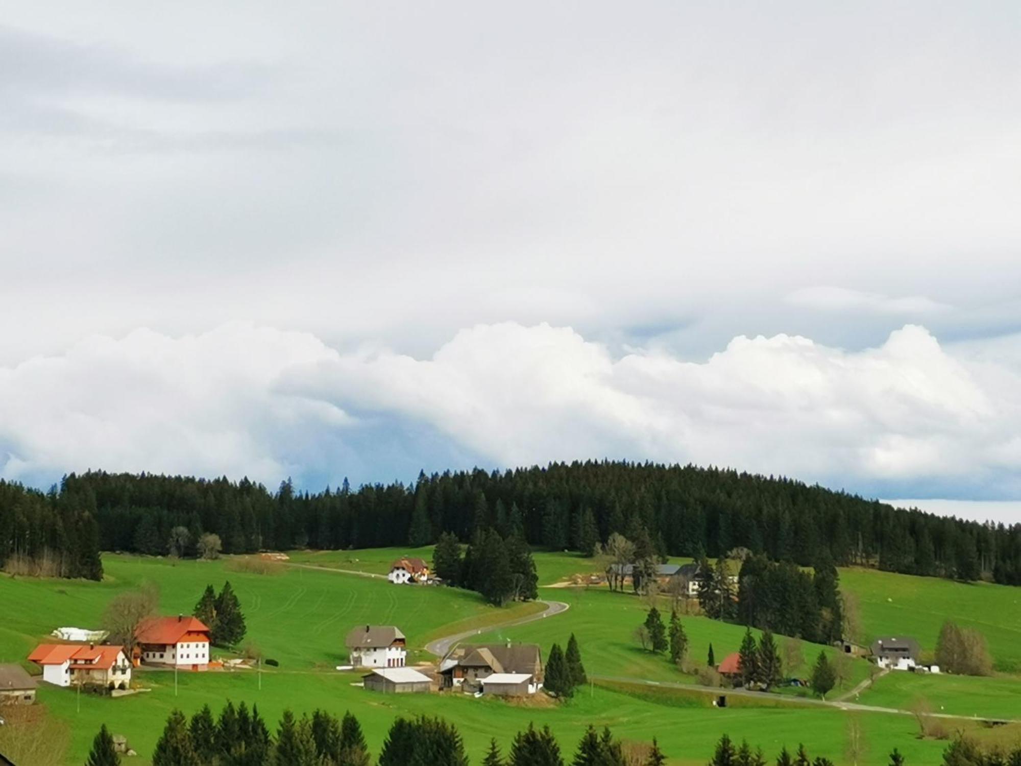 Ferienwohnung Steinbuehlschloessle Schönwalde Exterior foto